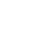 Server security icon