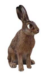 Servers Australia Mad March Sale